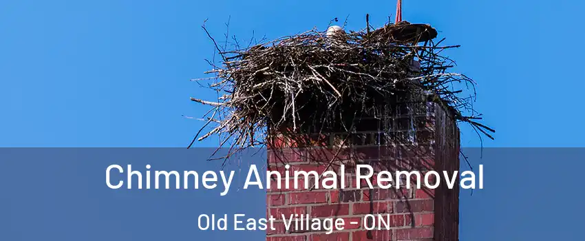 Chimney Animal Removal Old East Village - ON