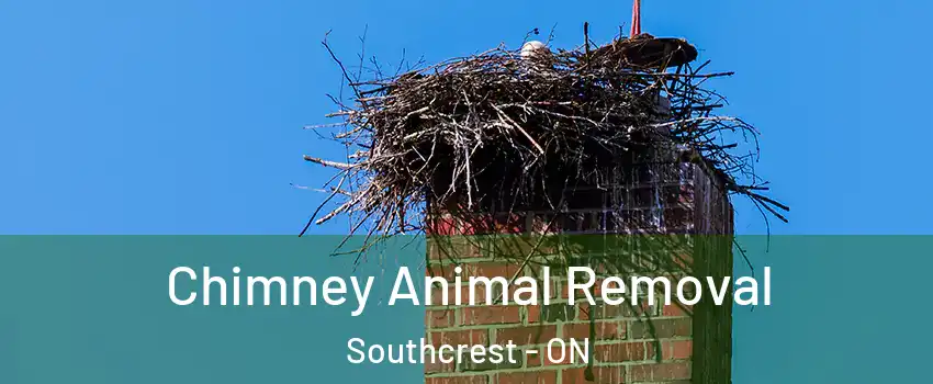 Chimney Animal Removal Southcrest - ON