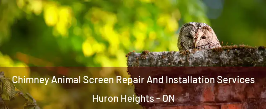  Chimney Animal Screen Repair And Installation Services Huron Heights - ON