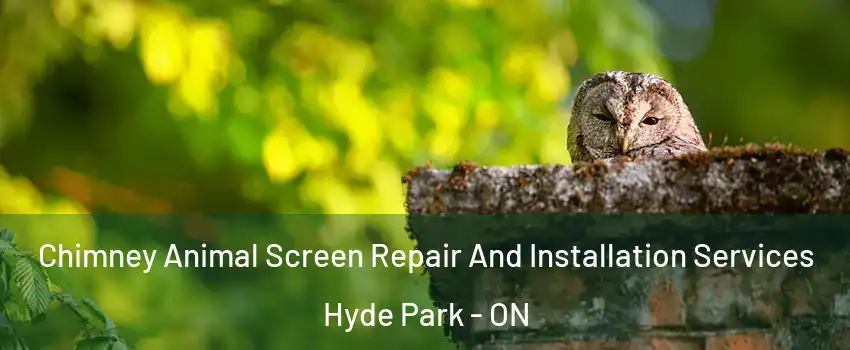 Chimney Animal Screen Repair And Installation Services Hyde Park - ON