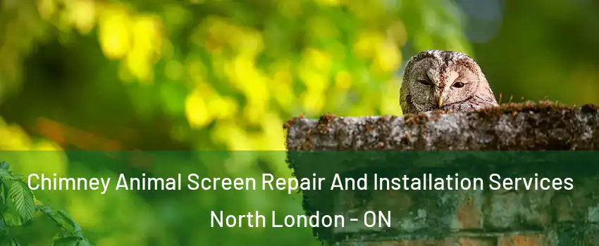  Chimney Animal Screen Repair And Installation Services North London - ON