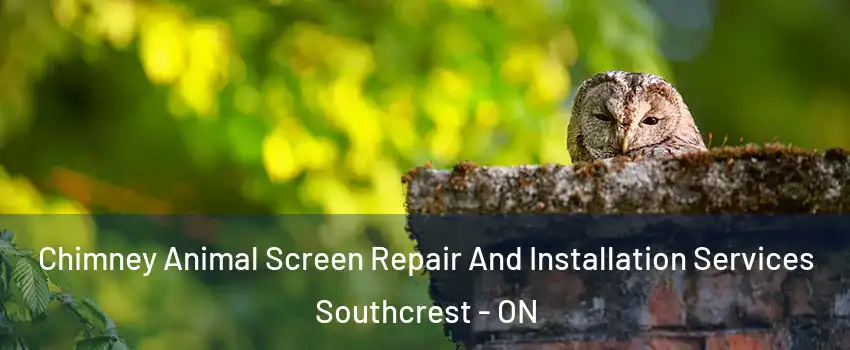  Chimney Animal Screen Repair And Installation Services Southcrest - ON