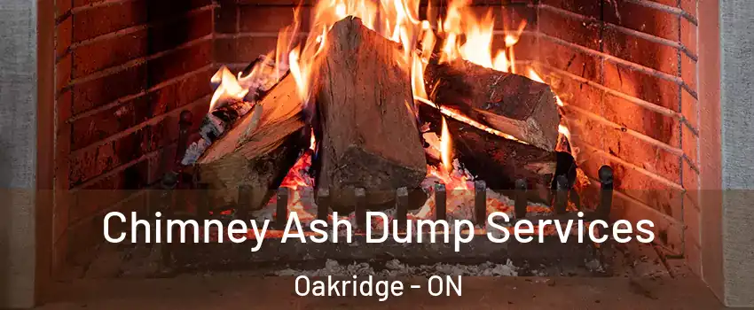  Chimney Ash Dump Services Oakridge - ON