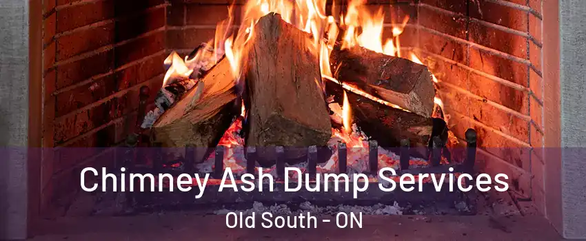  Chimney Ash Dump Services Old South - ON