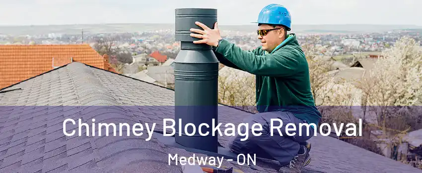  Chimney Blockage Removal Medway - ON