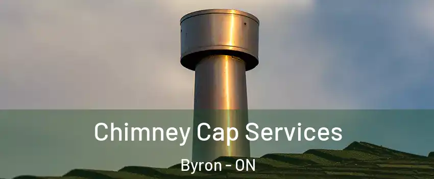  Chimney Cap Services Byron - ON