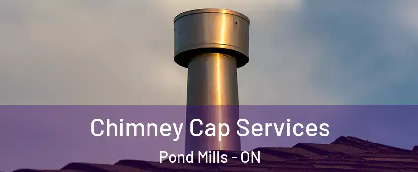  Chimney Cap Services Pond Mills - ON
