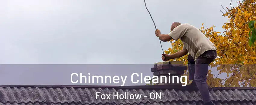  Chimney Cleaning Fox Hollow - ON