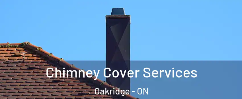  Chimney Cover Services Oakridge - ON