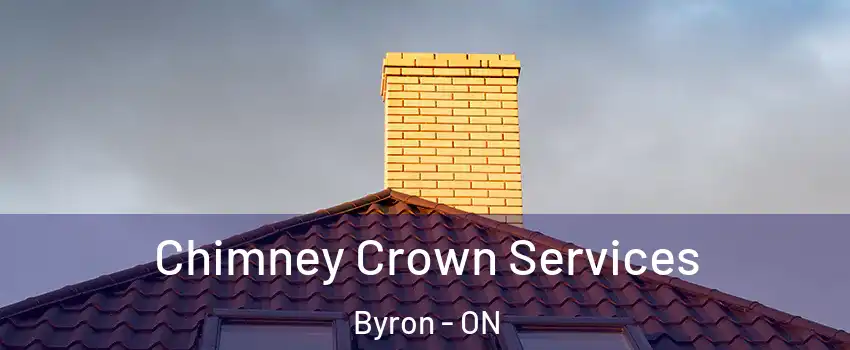 Chimney Crown Services Byron - ON