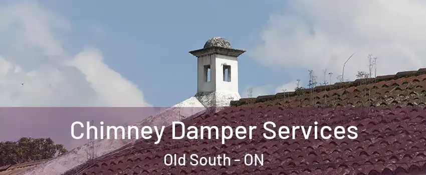  Chimney Damper Services Old South - ON