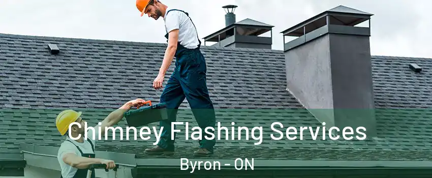 Chimney Flashing Services Byron - ON