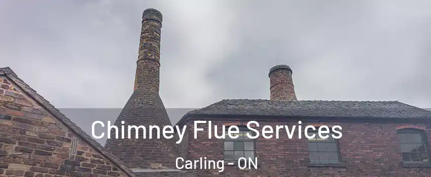 Chimney Flue Services Carling - ON