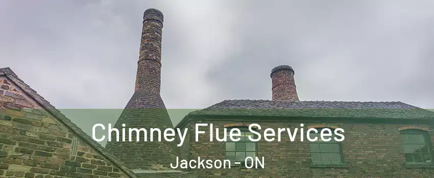  Chimney Flue Services Jackson - ON