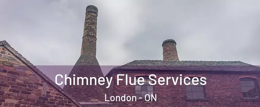  Chimney Flue Services London - ON
