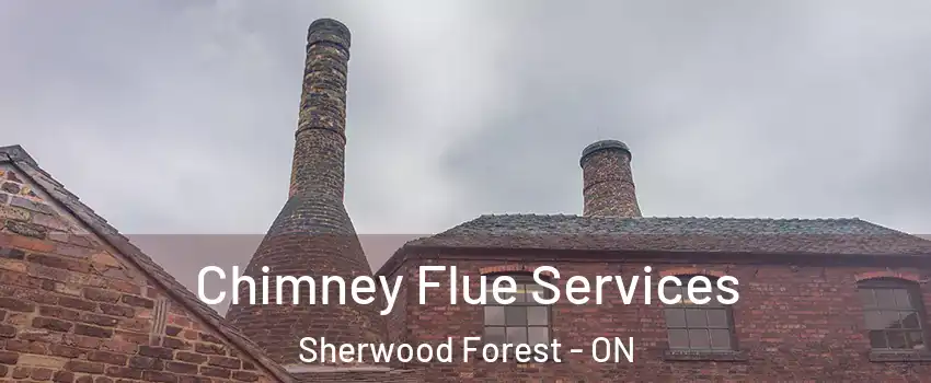  Chimney Flue Services Sherwood Forest - ON