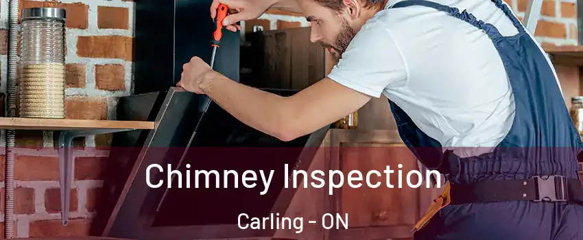  Chimney Inspection Carling - ON