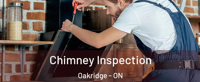  Chimney Inspection Oakridge - ON