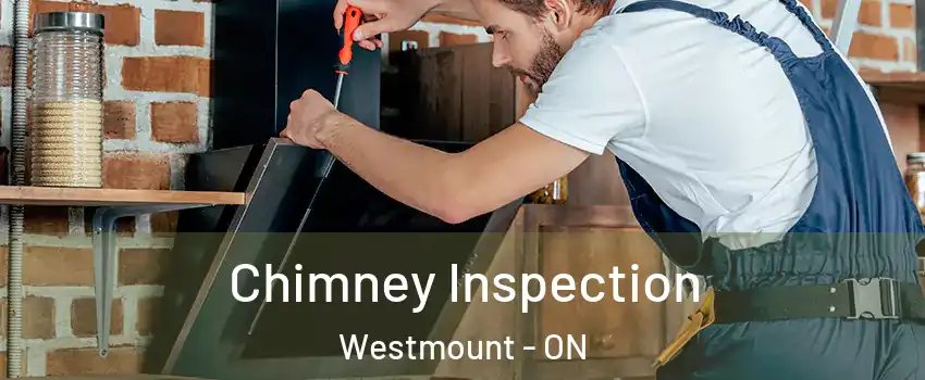  Chimney Inspection Westmount - ON
