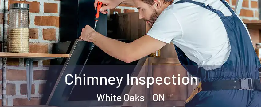  Chimney Inspection White Oaks - ON
