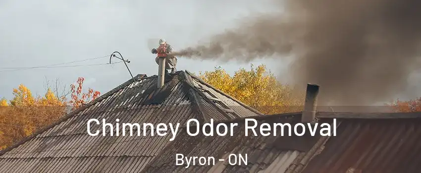  Chimney Odor Removal Byron - ON