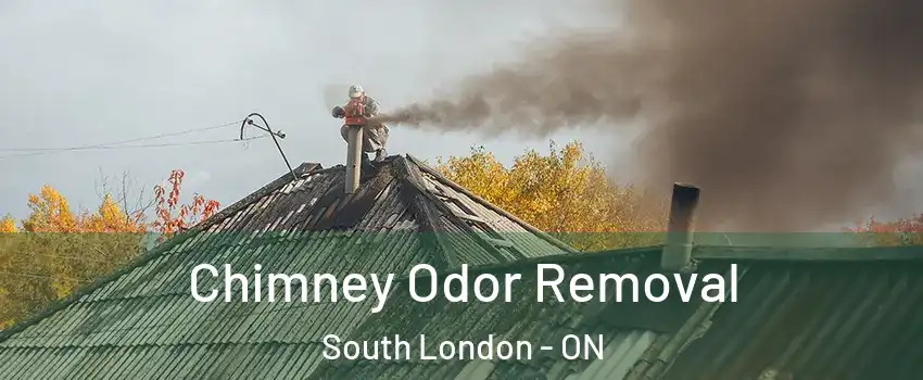  Chimney Odor Removal South London - ON