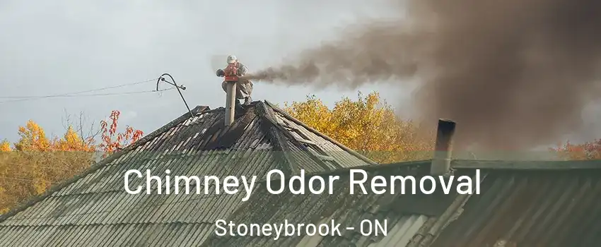  Chimney Odor Removal Stoneybrook - ON