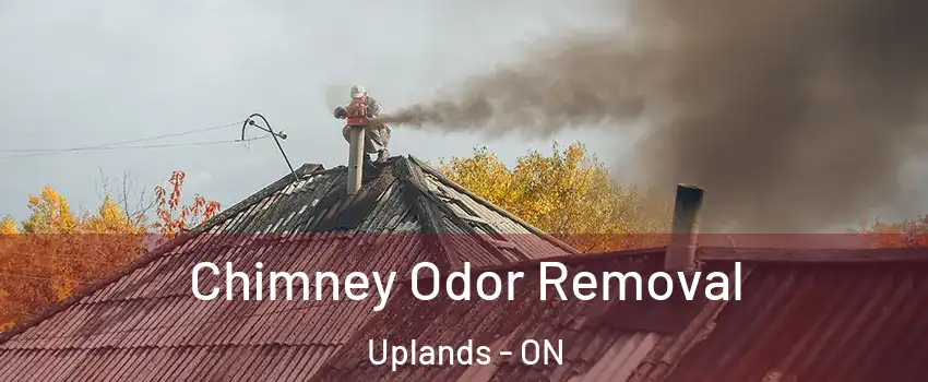  Chimney Odor Removal Uplands - ON