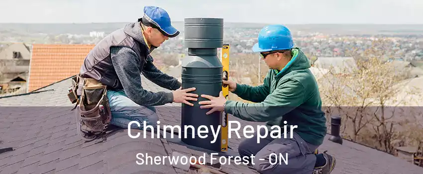  Chimney Repair Sherwood Forest - ON