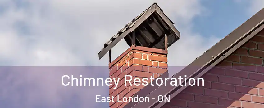  Chimney Restoration East London - ON