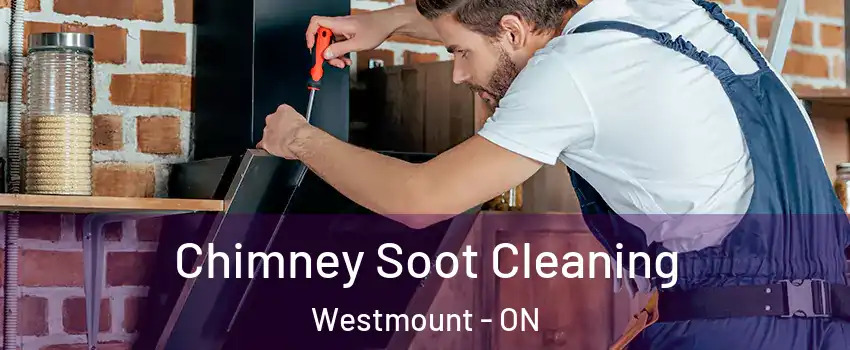  Chimney Soot Cleaning Westmount - ON