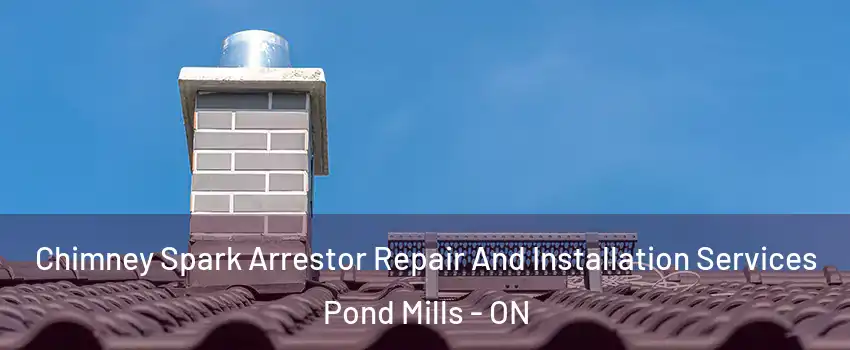  Chimney Spark Arrestor Repair And Installation Services Pond Mills - ON