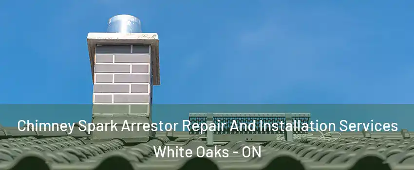  Chimney Spark Arrestor Repair And Installation Services White Oaks - ON