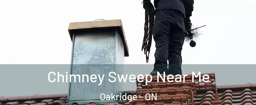  Chimney Sweep Near Me Oakridge - ON