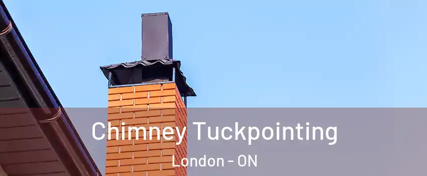  Chimney Tuckpointing London - ON