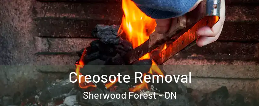  Creosote Removal Sherwood Forest - ON