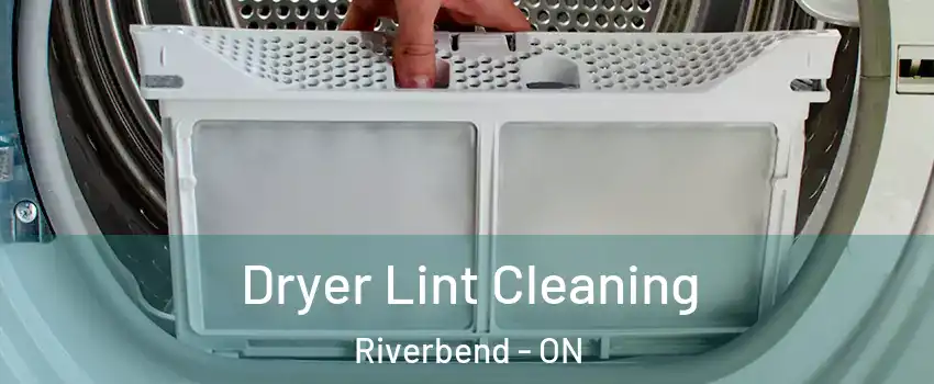  Dryer Lint Cleaning Riverbend - ON