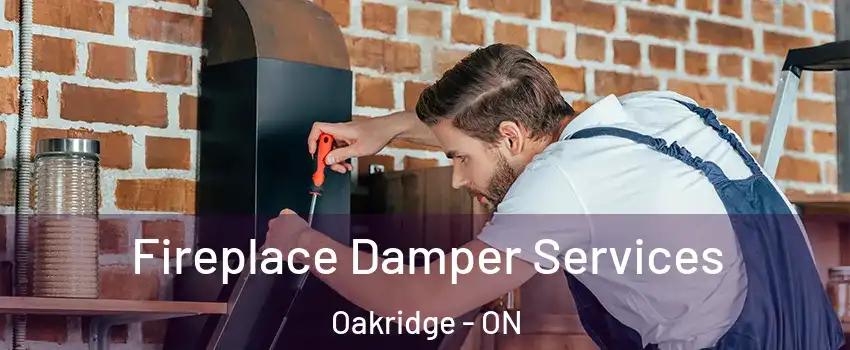  Fireplace Damper Services Oakridge - ON