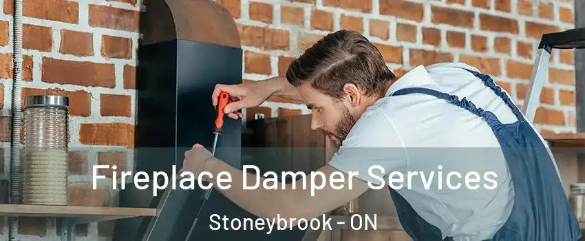  Fireplace Damper Services Stoneybrook - ON