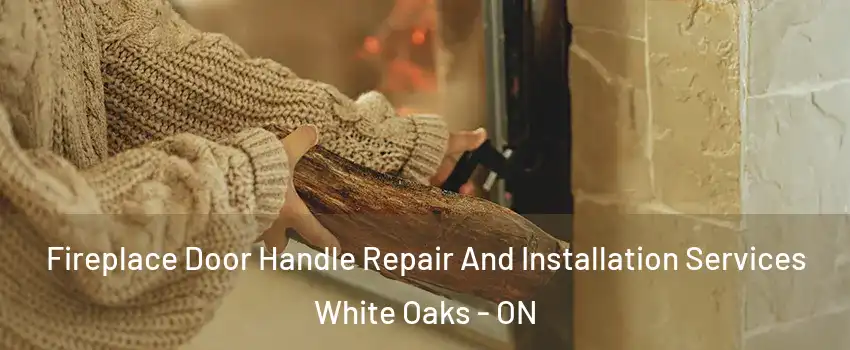  Fireplace Door Handle Repair And Installation Services White Oaks - ON