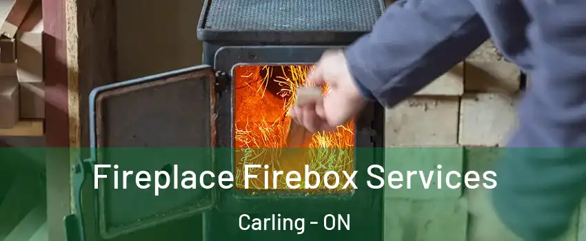  Fireplace Firebox Services Carling - ON