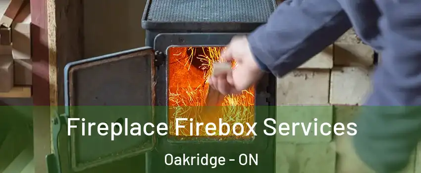  Fireplace Firebox Services Oakridge - ON