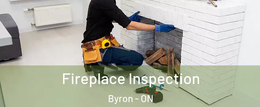  Fireplace Inspection Byron - ON