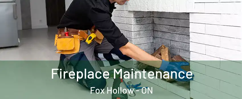  Fireplace Maintenance Fox Hollow - ON