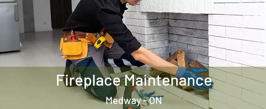  Fireplace Maintenance Medway - ON