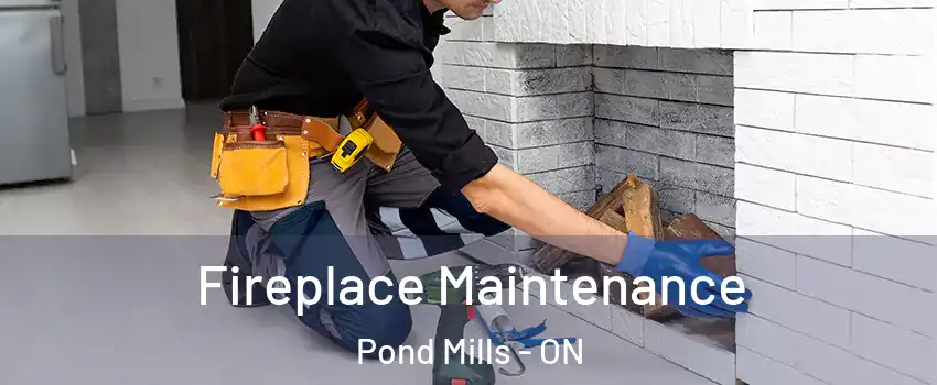  Fireplace Maintenance Pond Mills - ON