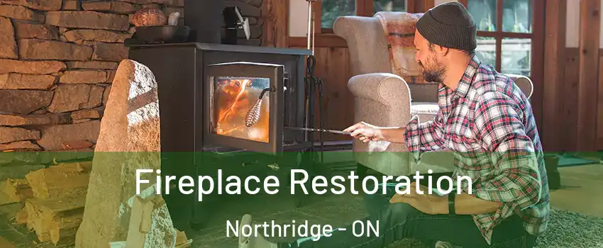  Fireplace Restoration Northridge - ON