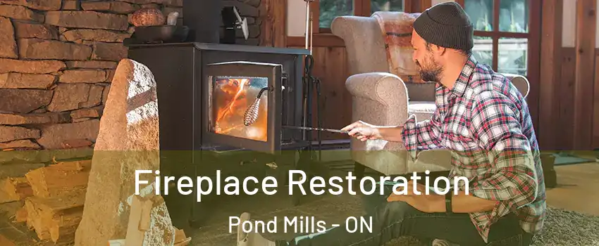  Fireplace Restoration Pond Mills - ON
