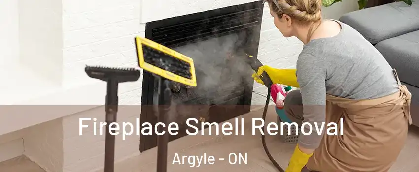  Fireplace Smell Removal Argyle - ON