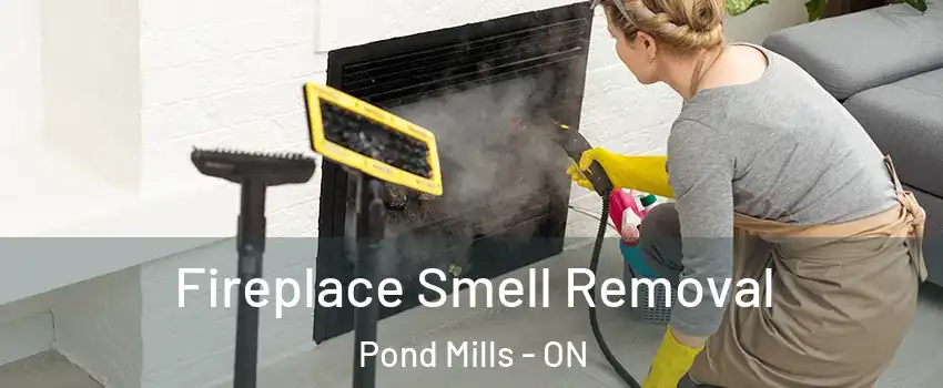  Fireplace Smell Removal Pond Mills - ON